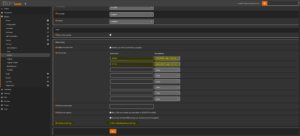 DNS und Gateway switching