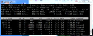 Raspberry Pi Terminal Ausgabe des Kommandos top