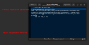 SSL Public Key für Cisco Format anpassen