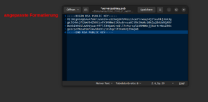 SSL Public Key für Cisco angepasste Formatierung