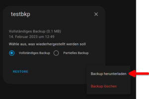 Home Assistant Backup herunterladen 2