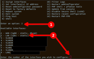 pfSense Installation IP Adresse zuteilen