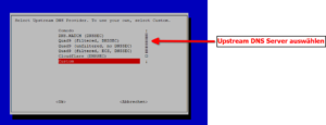 Pi-hole Upstream DNS Server