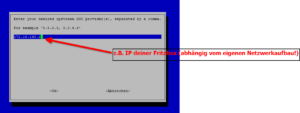 Pi-hole Custom DNS Server