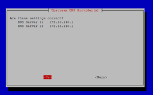 Pi-hole DNS Server Settings