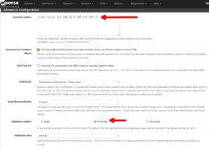 pfSense OpenVPN push route