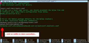 Raspberry Pi unbound resolvconf auskommentiert