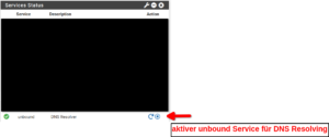 pfSense und unbound Services